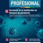 revista