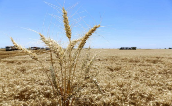 ECONOMÍA – Inflación mata devaluación al 2%: alertan que exportadores perderán la ventaja cambiaria en pocos meses