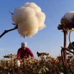 NACIONALES – Sergio Massa oficializó la eliminación de retenciones a las economías regionales: “con esfuerzo conjunto podemos ser más competitivos”