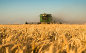 ECONOMÍA – El campo vuelve a aportar dólares y ayuda a Caputo