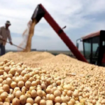 ECONOMÍA – El agro impulsó la suba del indicador de actividad económica en Santa Fe