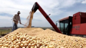 ECONOMÍA – El agro impulsó la suba del indicador de actividad económica en Santa Fe