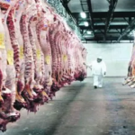NACIONALES – El Gobierno lanzó un sistema integral para la faena bovina y avanzó en un giro histórico del control cárnico