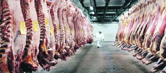 NACIONALES – El Gobierno lanzó un sistema integral para la faena bovina y avanzó en un giro histórico del control cárnico