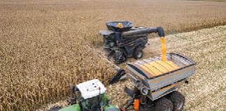 ECONOMÍA – La economía argentina cierra 2025 con un leve respiro impulsado por el sector agropecuario