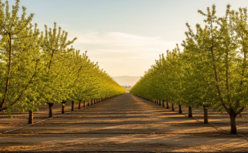 ECONOMÍA – Semáforo de economías regionales: solo 4 de 19 sectores cerraron 2025 en verde
