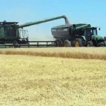 ECONOMÍA – La cadena agropecuaria registró un nivel de actividad récord en enero