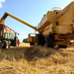 ECONOMIA – El campo argentino consolidó en 2025 su liderazgo en exportaciones: sus productos llegan al 75% de los países del mundo