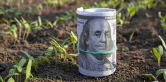 ECONOMÍA – La liquidación de dólares del agro se desplomó 41% interanual en febrero