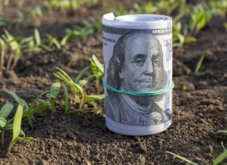 ECONOMÍA – La liquidación de dólares del agro se desplomó 41% interanual en febrero