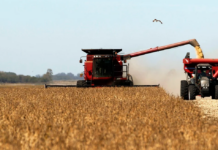 ECONOMÍA – La economía arrancó el año en verde