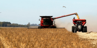 ECONOMÍA – La economía arrancó el año en verde