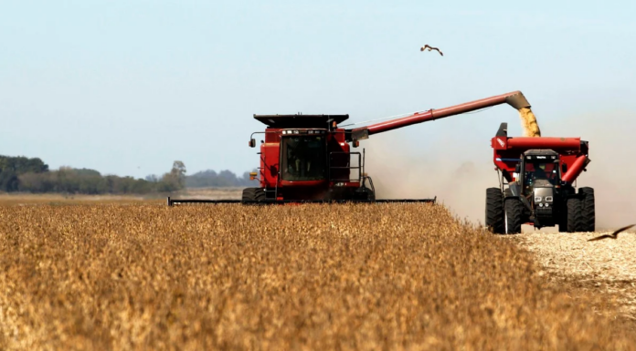 ECONOMÍA – La economía arrancó el año en verde