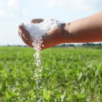 ECONOMÍA – La escasez global de fertilizantes amenaza la producción agropecuaria