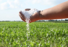 ECONOMÍA – La escasez global de fertilizantes amenaza la producción agropecuaria