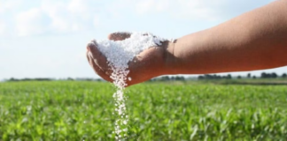 ECONOMÍA – La escasez global de fertilizantes amenaza la producción agropecuaria