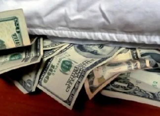 FINANZAS – La Argentina es el país con más dólares per cápita fuera del sistema: el Gobierno apuesta a la “inocencia fiscal”