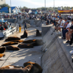 ECONOMÍA – En Semana Santa, más de 2,8 millones de turistas viajaron por Argentina