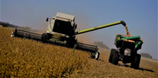 ECONOMÍA – Liquidaciones del agro cayeron un 15% en el primer trimestre de 2026