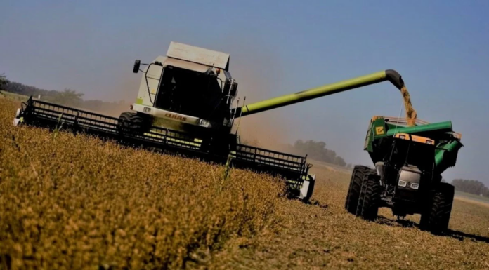 ECONOMÍA – Liquidaciones del agro cayeron un 15% en el primer trimestre de 2026