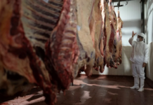 ECONOMÍA – Santa Fe exportó 10% más, pero la baja de los precios redujo a la mitad el ingreso de dólares