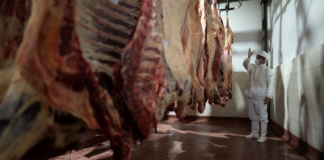 ECONOMÍA – Santa Fe exportó 10% más, pero la baja de los precios redujo a la mitad el ingreso de dólares