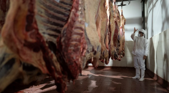 ECONOMÍA – Santa Fe exportó 10% más, pero la baja de los precios redujo a la mitad el ingreso de dólares