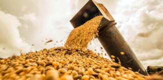 ECONOMÍA – Aunque la recaudación lleva 8 meses de caída, detectan signos positivos