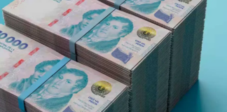 FINANZAS – El peso argentino rompe con años de caídas y se convierte en refugio inesperado durante la crisis global