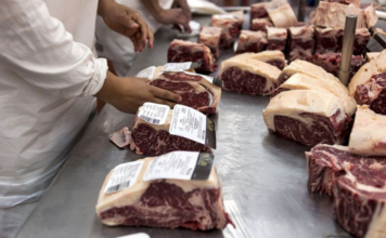 NACIONALES – Exportaciones de carne: asignan los cupos de la Cuota Hilton para el nuevo ciclo comercial